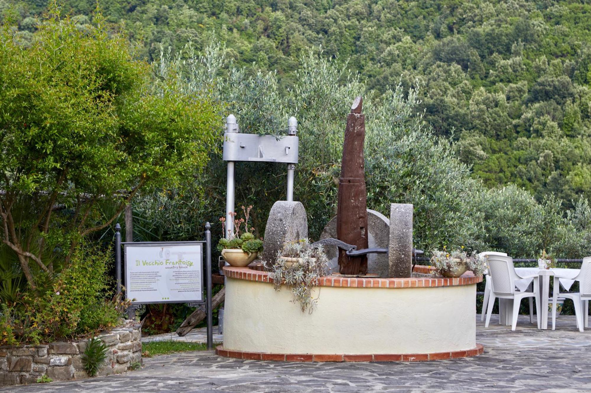 Il Vecchio Frantoio Villa Stella Cilento Ngoại thất bức ảnh