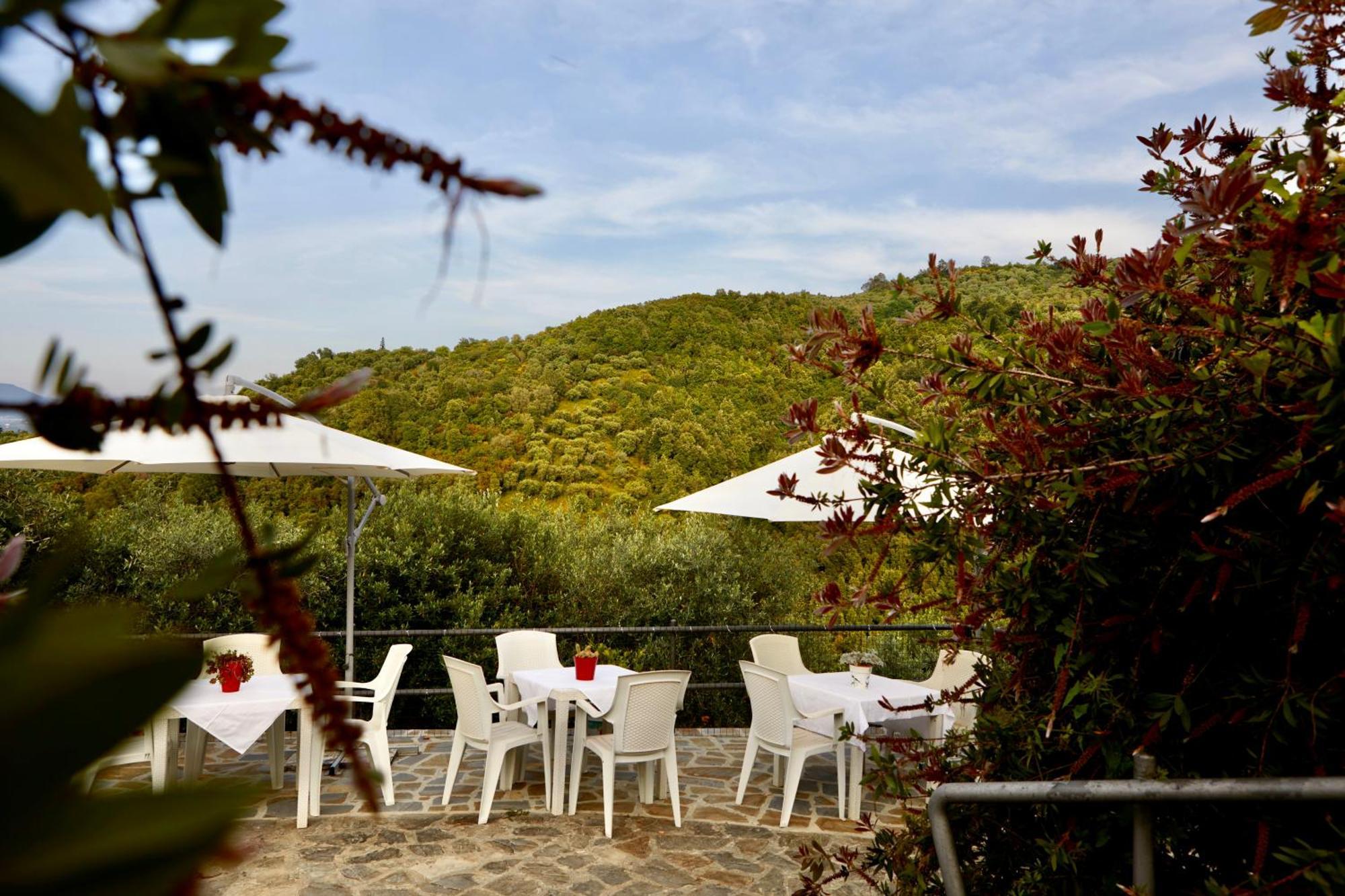 Il Vecchio Frantoio Villa Stella Cilento Ngoại thất bức ảnh
