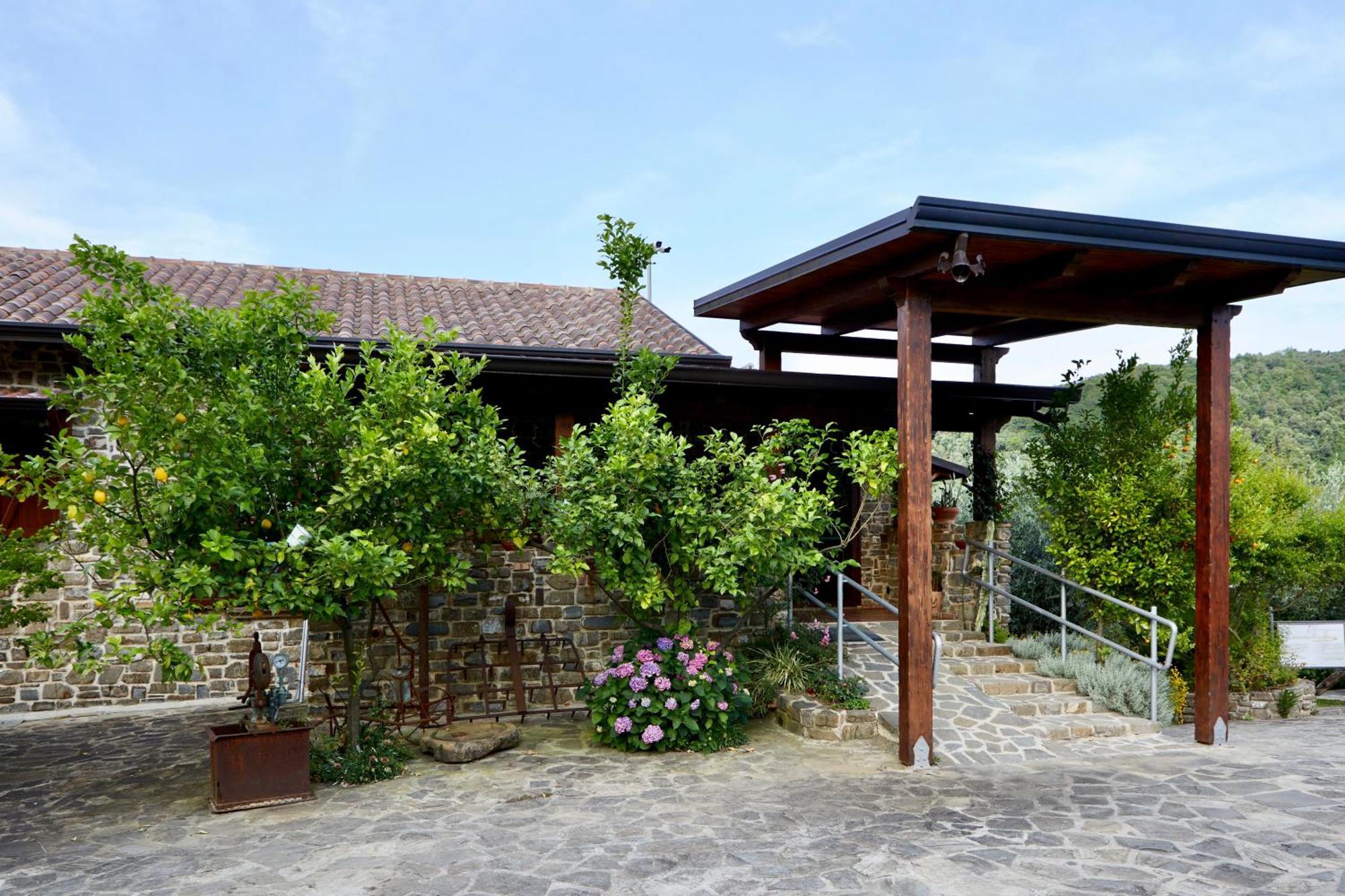 Il Vecchio Frantoio Villa Stella Cilento Ngoại thất bức ảnh