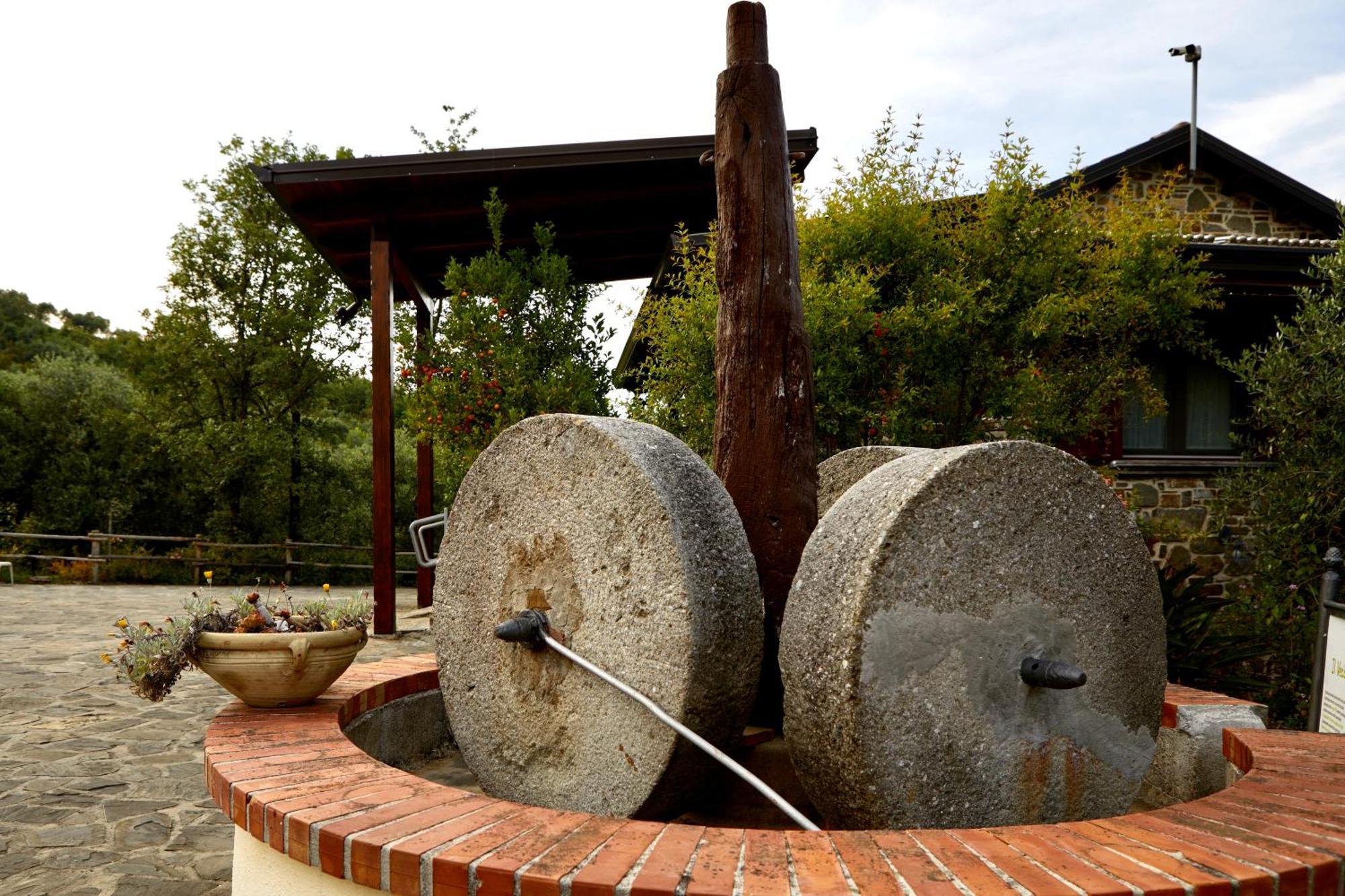 Il Vecchio Frantoio Villa Stella Cilento Ngoại thất bức ảnh