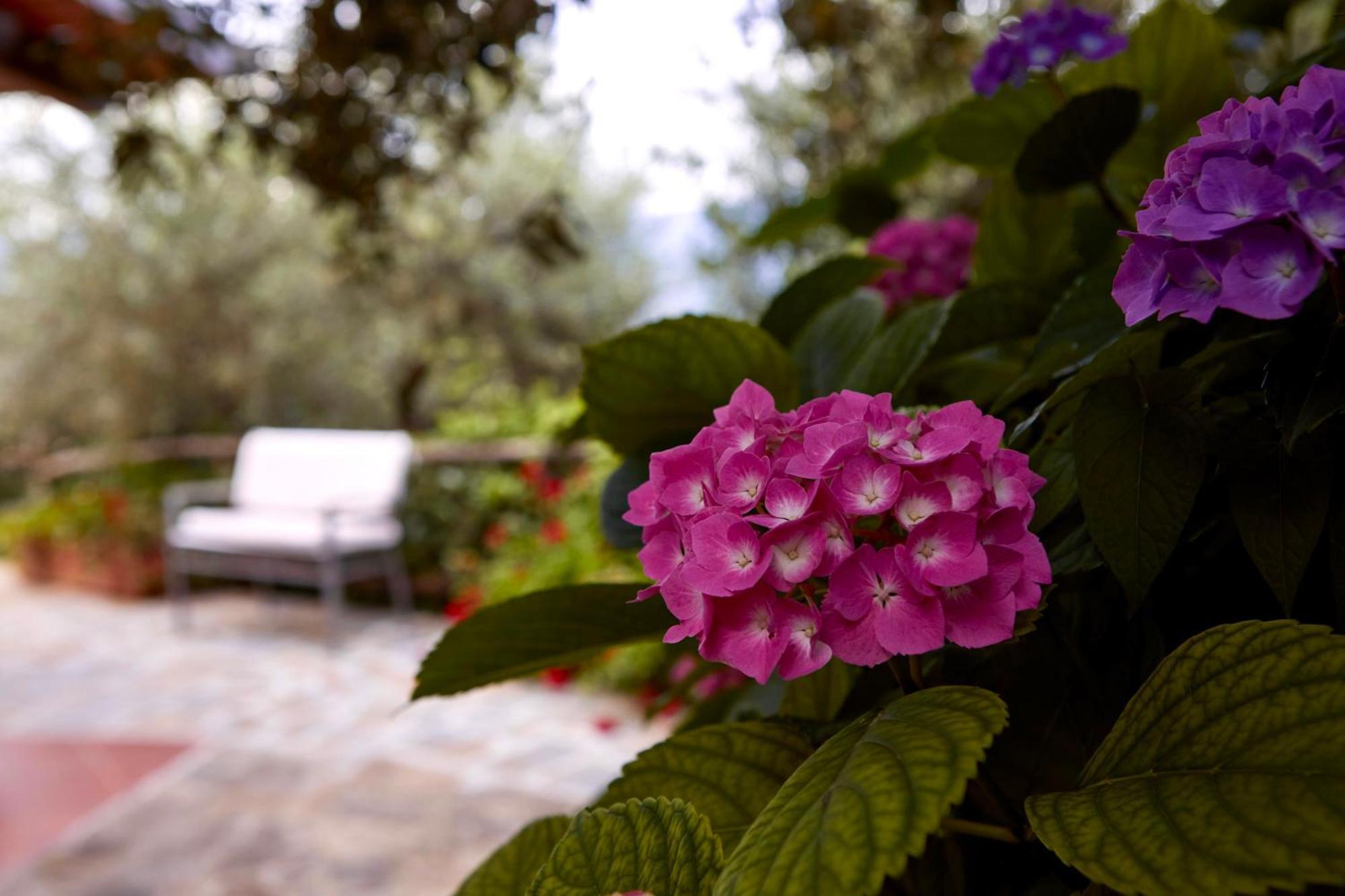 Il Vecchio Frantoio Villa Stella Cilento Ngoại thất bức ảnh