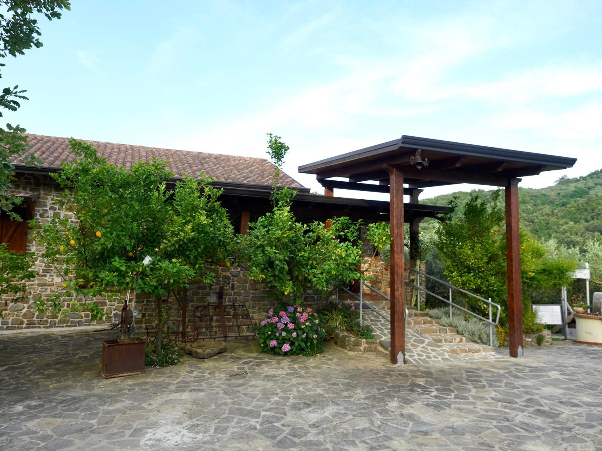 Il Vecchio Frantoio Villa Stella Cilento Ngoại thất bức ảnh