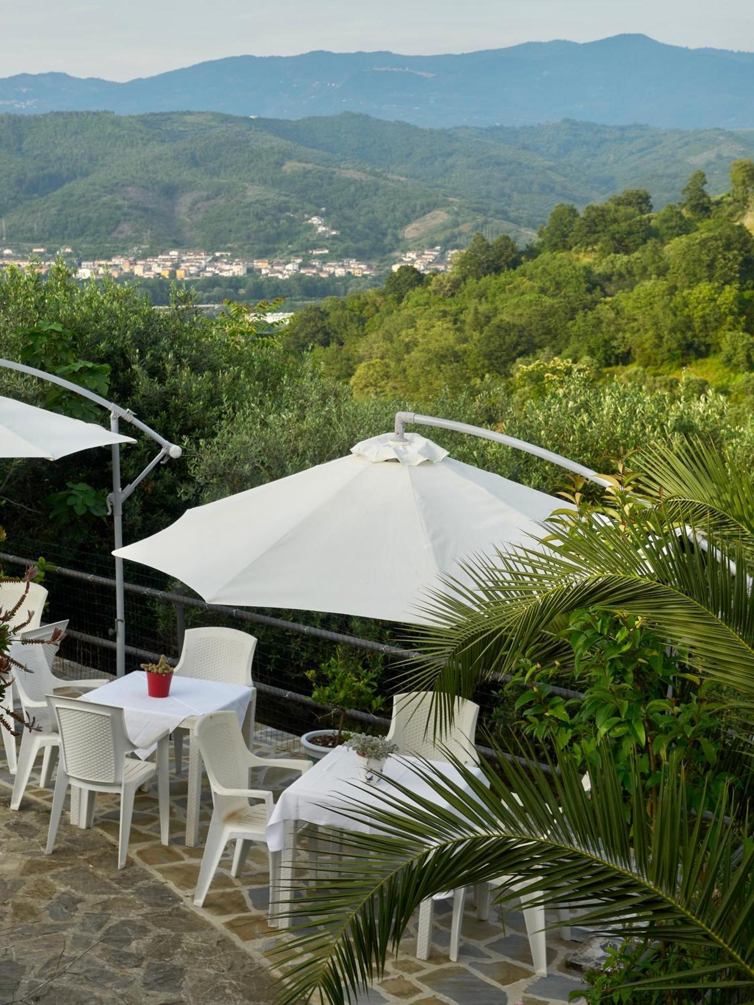 Il Vecchio Frantoio Villa Stella Cilento Ngoại thất bức ảnh