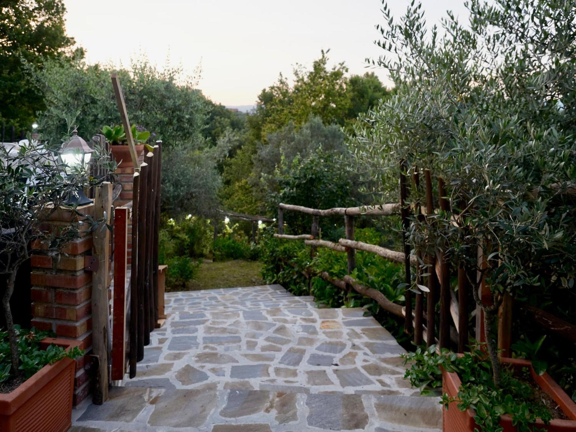 Il Vecchio Frantoio Villa Stella Cilento Ngoại thất bức ảnh