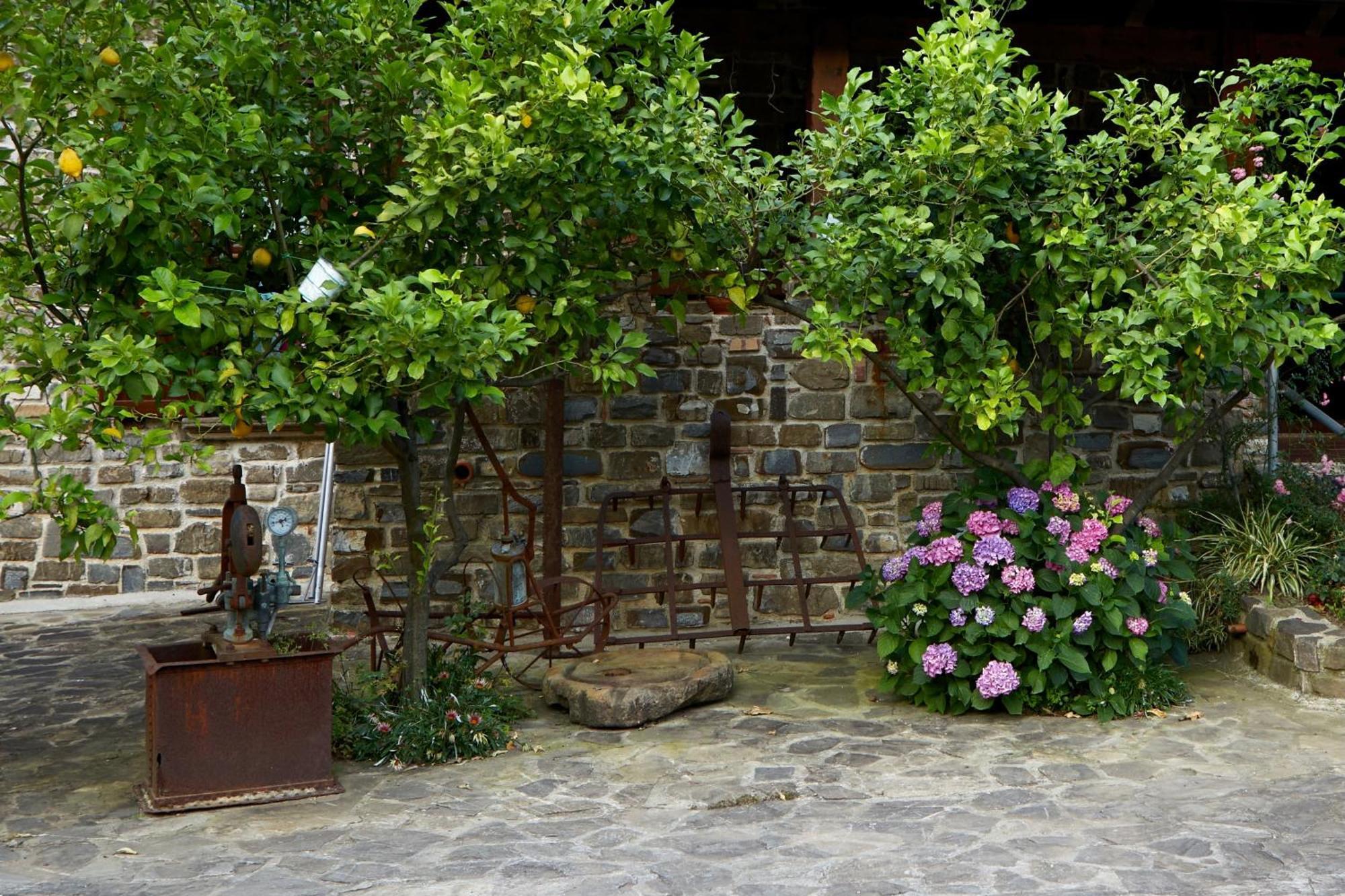 Il Vecchio Frantoio Villa Stella Cilento Ngoại thất bức ảnh